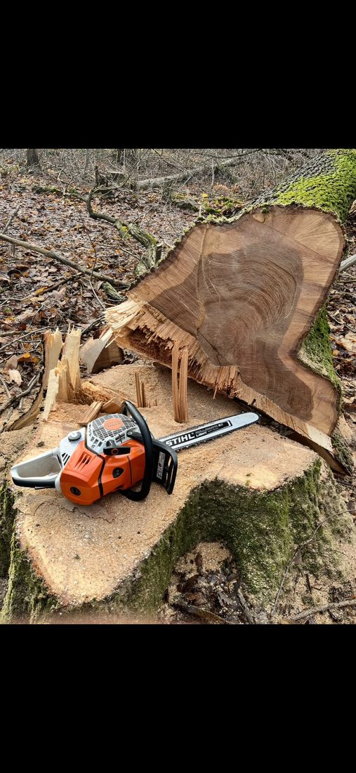 Bûcheronnage et abattage d'arbre par Florescence paysagiste