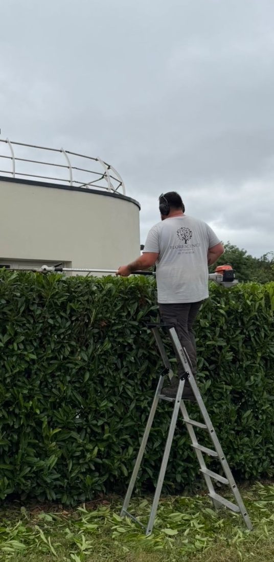 Florian Murelli, paysagiste fondateur de Florescence, taillant une haie sur un chantier