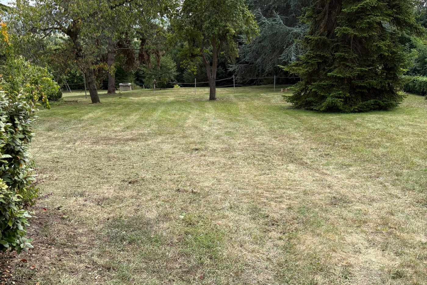 Pelouse fraîchement tondue et jardin entretenu par Florescence, paysagiste à Champagne-sur-Oise