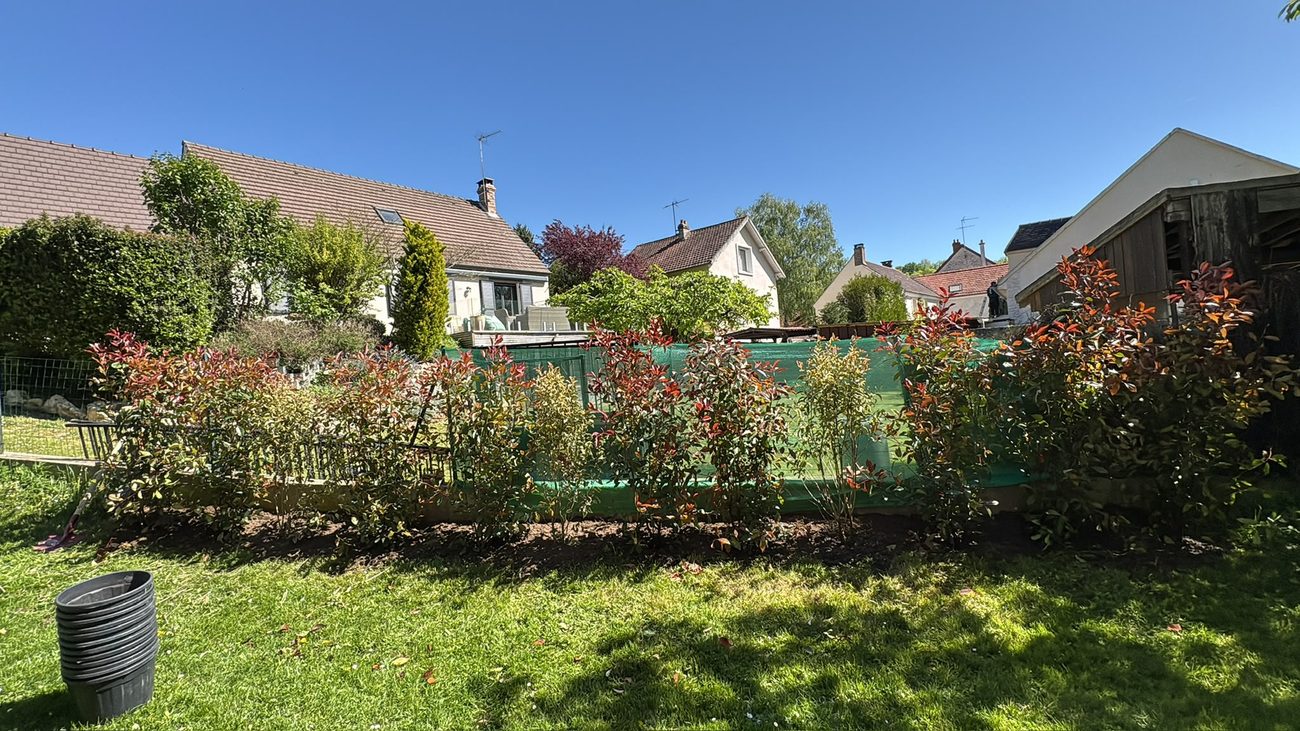 Plantation d'une haie de photinias le long d'un jardin