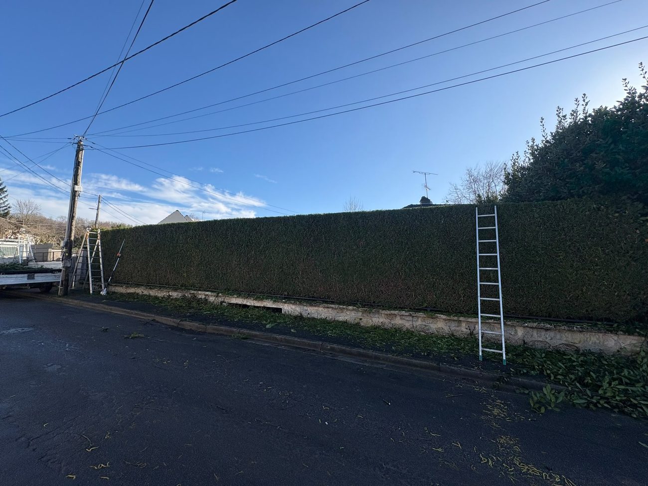 Haie de thuyas taillée par Florescence, paysagiste dans le Val-d'Oise